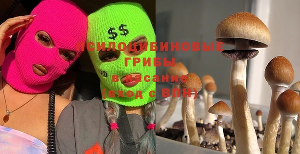 первитин Надым